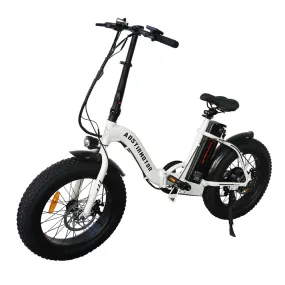 A20 Folding E bike 500W Electric Mountain Bike
