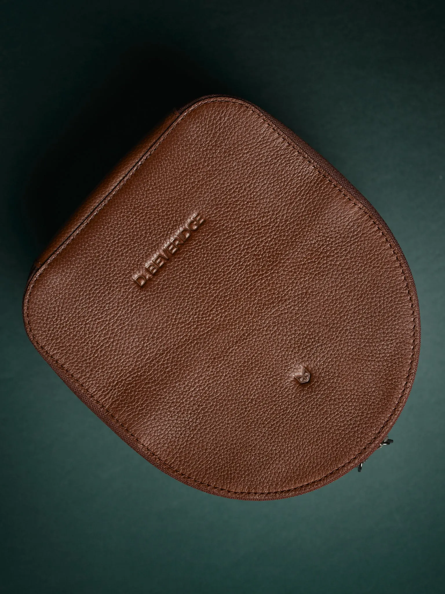 Apple Vision Pro Case · Brown