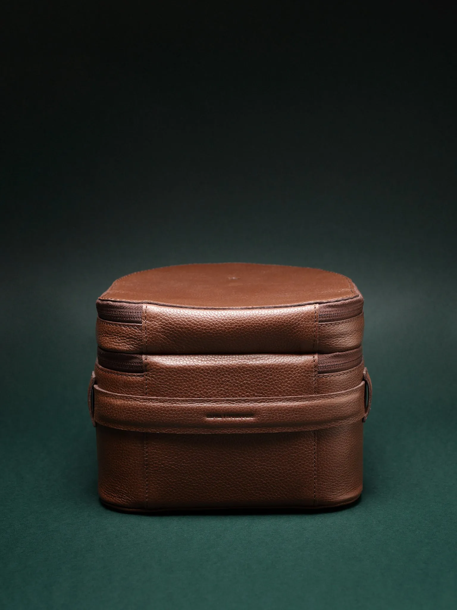 Apple Vision Pro Case · Brown
