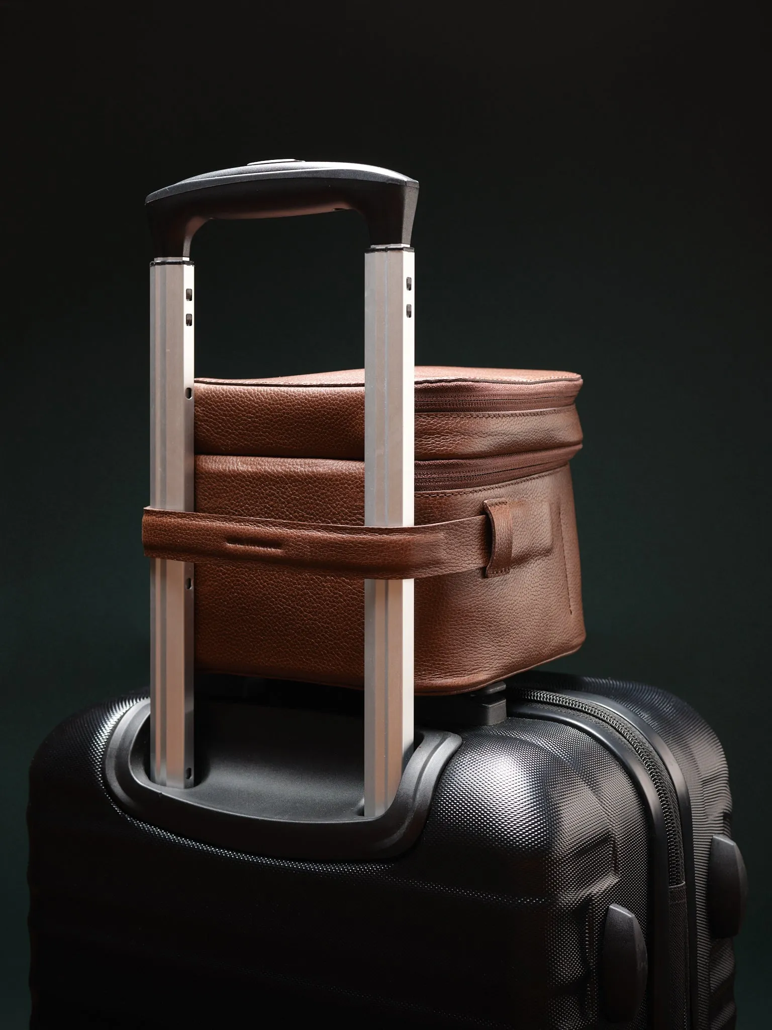 Apple Vision Pro Case · Tan