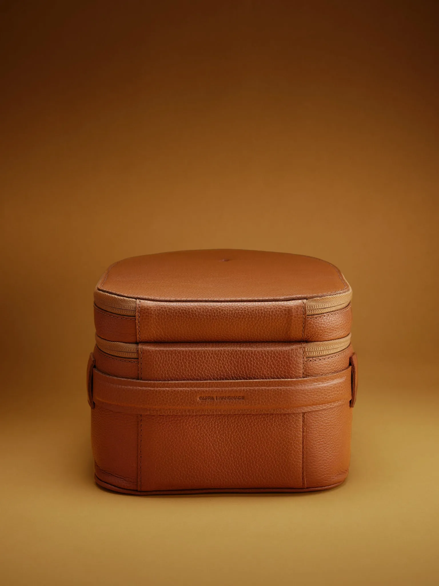 Apple Vision Pro Case · Tan