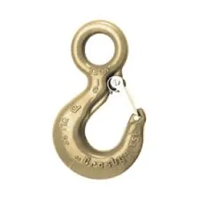 L-320AN Alloy Eye Hook w/ Latch