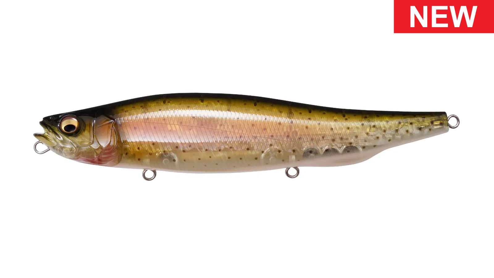 Megabass Megadog