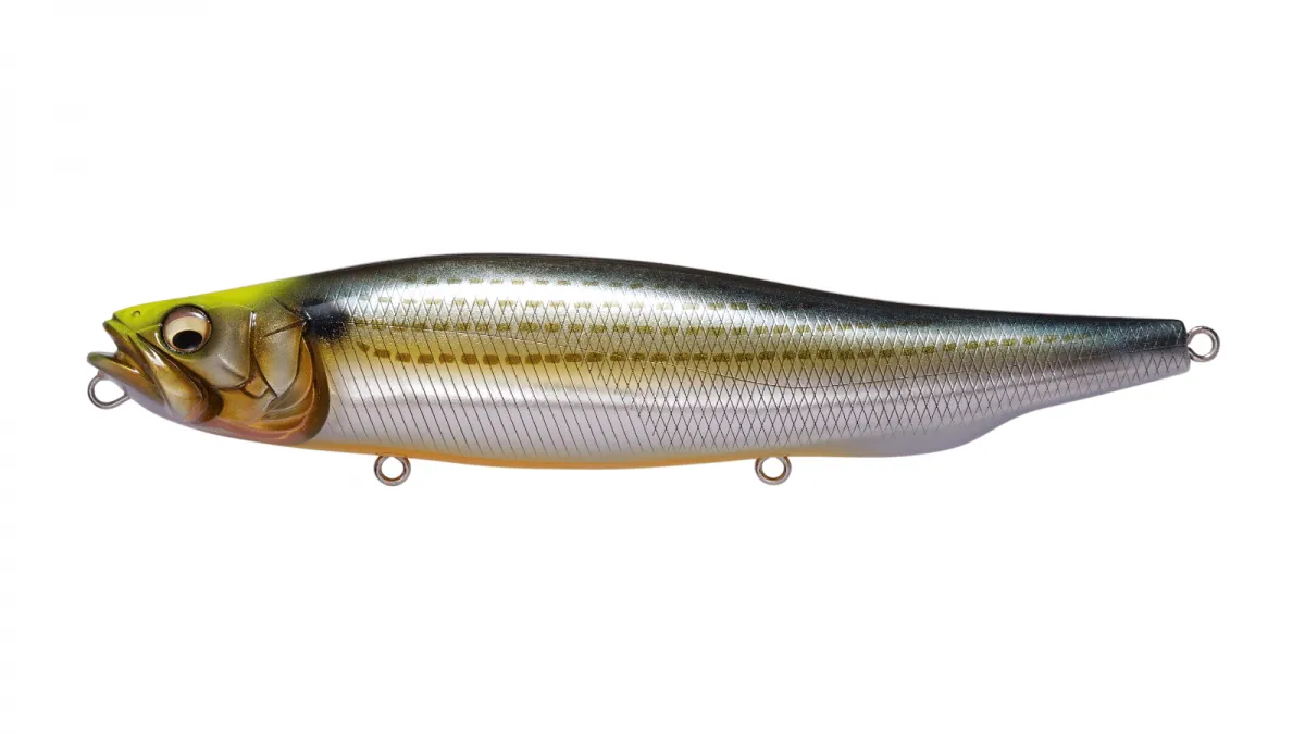 Megabass Megadog