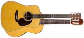 MusicLab RealGuitar Guitar Combo Virtual Instrument with FREE! Guitar for Dummies (Download)