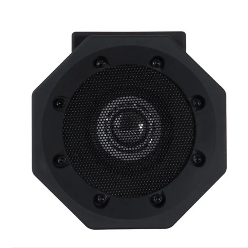 Portable Wireless Induction Speaker