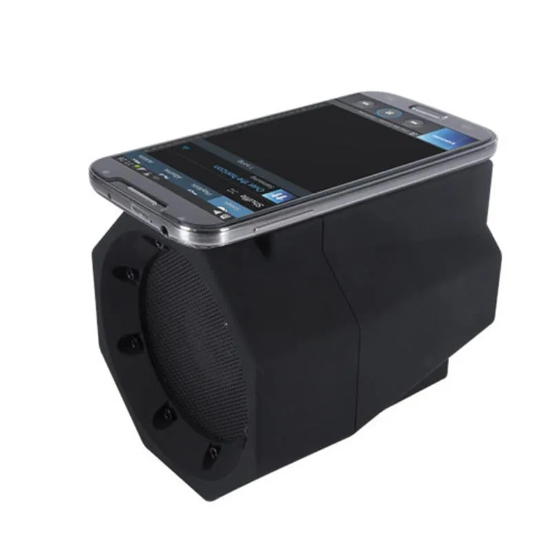 Portable Wireless Induction Speaker