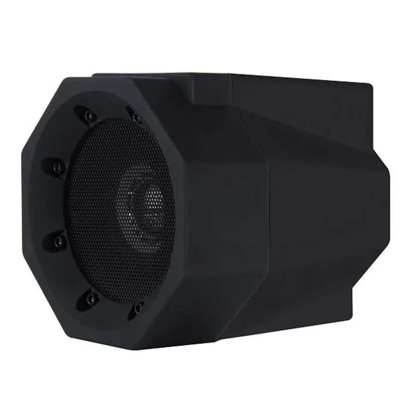 Portable Wireless Induction Speaker
