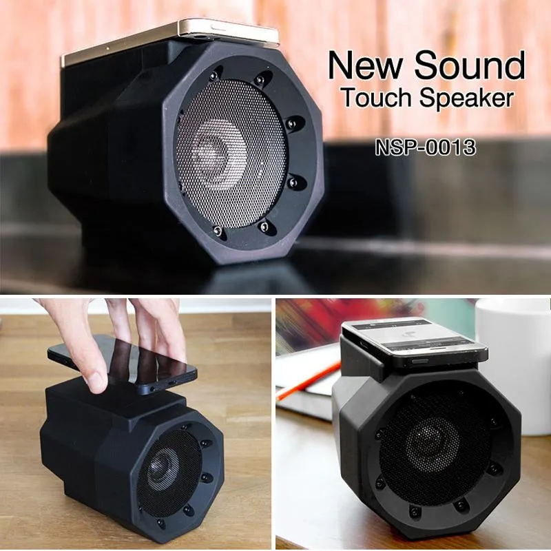 Portable Wireless Induction Speaker
