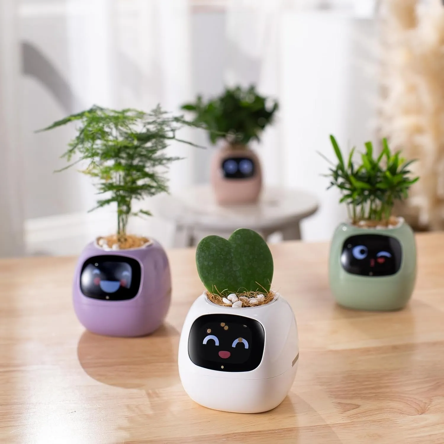 Smart Sensors Planter - 7 Smart Sensors, and Ai Chips Make Raising Plants Easy and Fun for Living Room