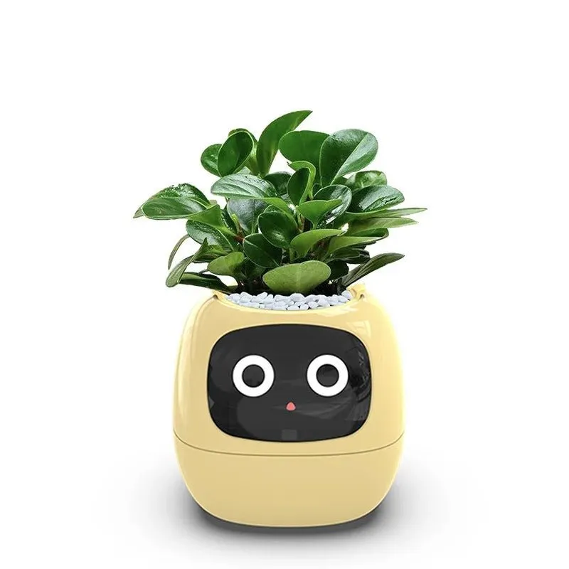 Smart Sensors Planter - 7 Smart Sensors, and Ai Chips Make Raising Plants Easy and Fun for Living Room
